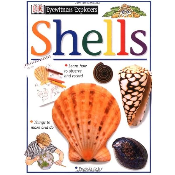 Amazon | The Encyclopedia of Shells | Wye, Kenneth R. | Animals